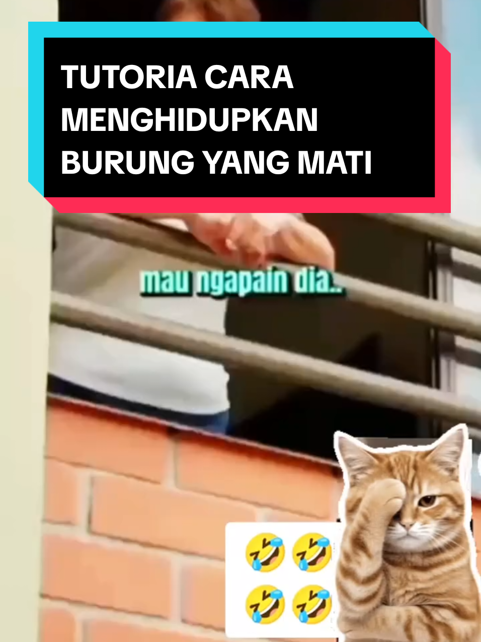 TUTORIAL CARA MENGHIDUPKAN BURUNG YANG MATI 👍👍👍 #fyp #reels #reel #reelsviral #reelsvideo 