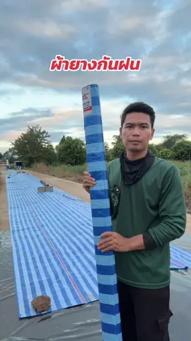 ผ้ายางกันฝน #ผ้าใบกันฝน #ผ้าฟางฟ้าขาว #ผ้าใบบลูชีท #คนทำเกษตร 