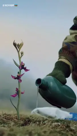 #азербайджан #8noyabr #8noyabrzəfərgünü🇦🇿 #azerbaijan🇦🇿 #turanarich 