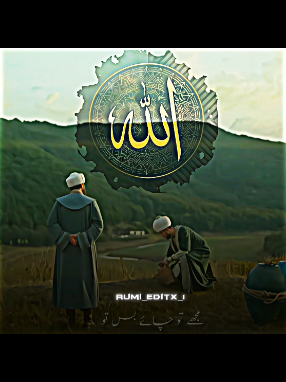 مجھے تو چائے صرفِ تو #tiktokpakistanoffcial #foryou #foryoupage 