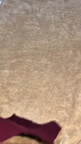 setelan anak laki laki 1-8 THN 👇Cek keranjang kuning dibawah😍#fyp#affiliatetiktok #fyppppppppppppppppppppppp 