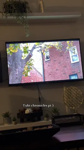 My kids will be raised on Tubi idc@Tubi #fypシ #xyzbca #tubi #tubimovies #tubitaughtme 