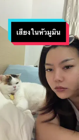 ทีตัวเองกลิ่นตลาดปลาแม่ยังไม่บ่น 😒 #มูมินแมวเหนียง #แมวน่ารัก #สวนสัตว์tiktok #cat #theploy 