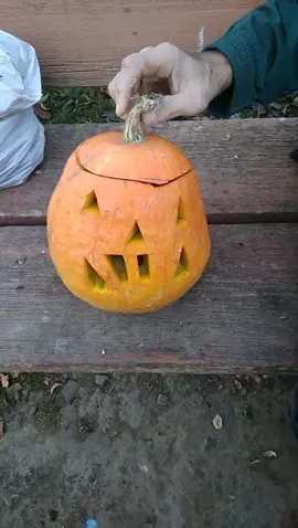 real video #reccomendation #halloween #halooween 