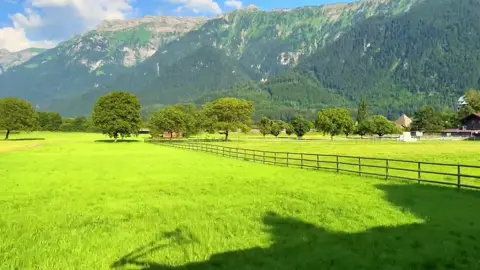 هم ناوي تهاجر الى أوربا 🇪🇺🇨🇭🇧🇪 #🇧🇪🇩🇪🇨🇭 #فرنسا🇨🇵_بلجيكا🇧🇪_المانيا🇩🇪_اسبانيا🇪🇸 #Naturelovers 