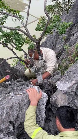 Muội hồng víp cho ae nào cần #muoihong #muoihong35 #muoihongninhbinh 