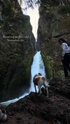 So peaceful 🙇🏻‍♀️  #austin #oregon #pnw #dogs #travel 