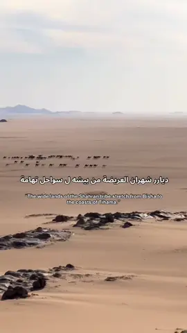 المقطع فيه من بيشه و الخميس و تهامة شهران العريضة #شهران #tiktok #ديار_شهران #بيشه #comedia  