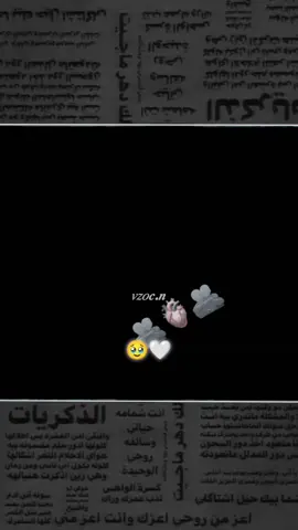 #الشعب_الصيني_ماله_حل😂😂 