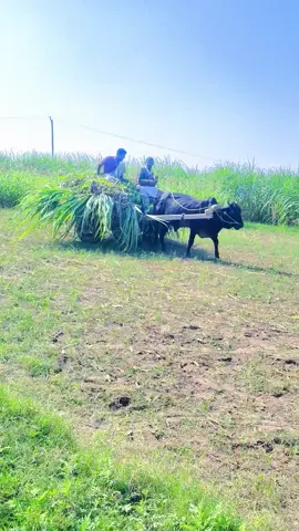 #creatorsearchinsights 228