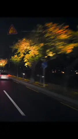 Sa mau koi, ko mau dia🙃 Prettt😜😜😜 #xyzcba #lyrics #lagutimur #fouryou 