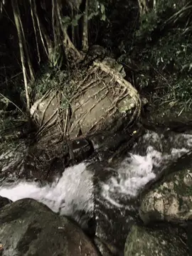 不要把青春浪费在等待不值得的人，当心懂得等待对的人时，幸福就会到来..! 