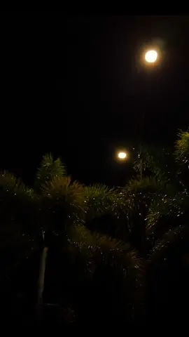 dejavu🍃🥀#jowocidro #galaubrutal #4u #overlaylirik #liriklagu #fyp #jowobaper #bismillahfyp #dejavu #fyppppppppppppppppppppppp 