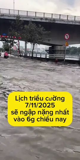 Bảng lịch triều cường ở Saigon ngày 7/11/2025 #trieucuong #nuocngapsaigon #nuocngap 
