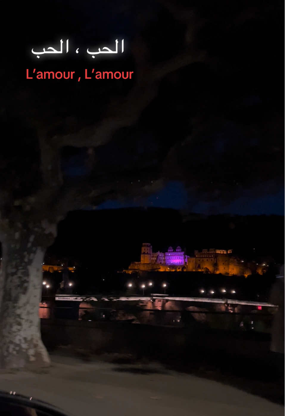 اغنية فرنسية #lamour #الحب #الحب❤️ #الحب_الحقيقي 