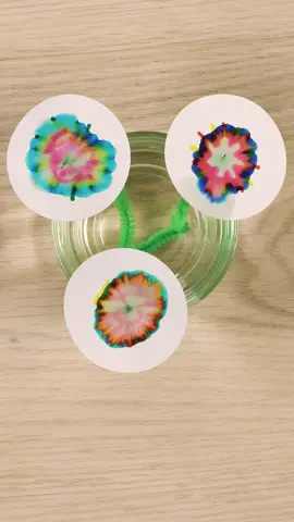 Thêm 1 gợi ý cho hoạt động hoa sắc màu 🥰🥰🥰 #hoccungtiktok #TikTokAwardsVN #mamnongiaitri #scienceexperiments 