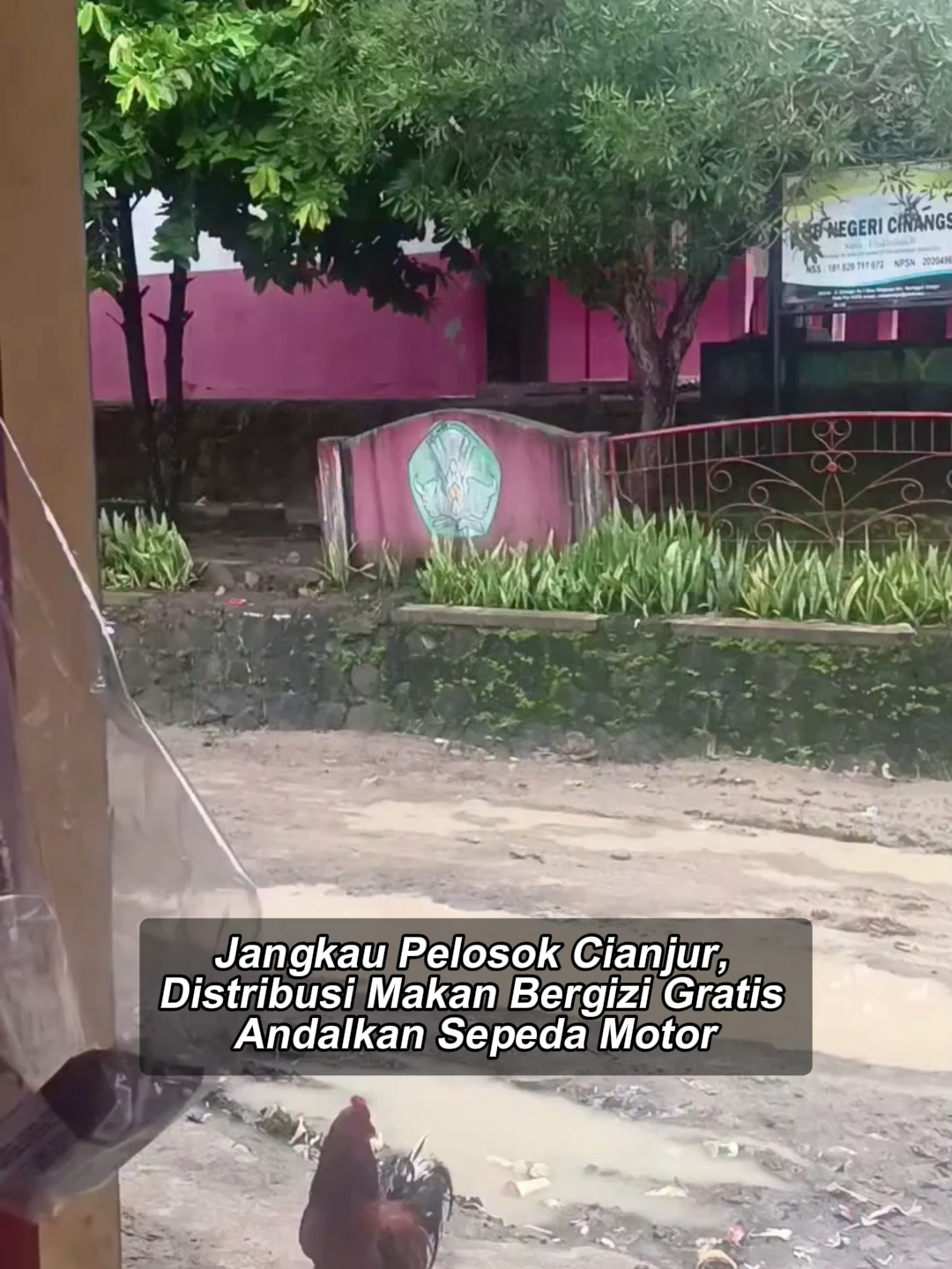 Program Makan Bergizi Gratis (MBG) mengandalkan sistem transportasi ganda untuk memastikan kelancaran distribusi makanan ke siswa, terutama di wilayah dengan medan yang sulit seperti di SDN Cinangsi Naringgul, Cianjur. Pihak program menekankan bahwa infrastruktur transportasi yang baik adalah kunci suksesnya program ini. Untuk wilayah perkotaan yang mudah diakses, distribusi makanan bergizi ke sekolah-sekolah menggunakan mobil box. Kendaraan ini dipilih untuk mengangkut makanan dalam jumlah besar secara efisien. Namun, tantangan berbeda dihadapi saat mendistribusikan ke wilayah pelosok atau 3T (tertinggal, terdepan, dan terluar). Di lokasi seperti SDN Cinangsi Naringgul, Cianjur, yang sulit dijangkau oleh kendaraan roda empat, sepeda motor menjadi garda terdepan. Sepeda motor khusus digunakan untuk menjangkau sekolah-sekolah di pelosok demi memastikan para siswa di wilayah terpencil tetap mendapatkan hak mereka atas makanan bergizi. #tiktokberita #bangsaonline #harianbangsa