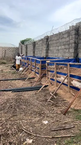 Building progress at Amberfield Farms! 💪 Our new tarpaulin fish pond is almost ready and soon to be home to 5,000 healthy catfish 👏 Sustainable aquaculture in motion 🐟🌿  #aquaculture #fish #fishfarming #catfish #farm   