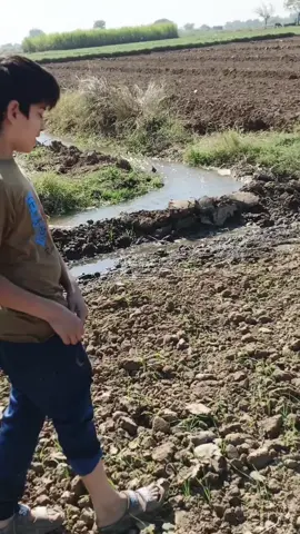 #imrankhan #pakistanzindabad #pakistanshaheens🇵🇰🇵🇰🇵🇰 #gujrati 