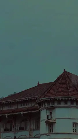 Background video 4u #achintha_madushan #backgroundvideo #viralvideo #viraltiktok #achi 