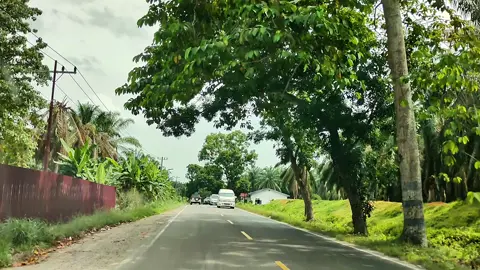 Labuhanbatu Selatan #promomakan1111 #kontenhiburan #jalanlintas #fyppppppppppppppppppppppp #berandafyp 