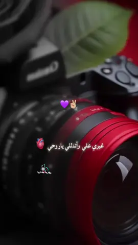 غيري علي واتدللي ياروحي 💜✌🏼#الهوية_اليمنية #ابو_جواد_الفتيني #الوفاء #الاحترام 