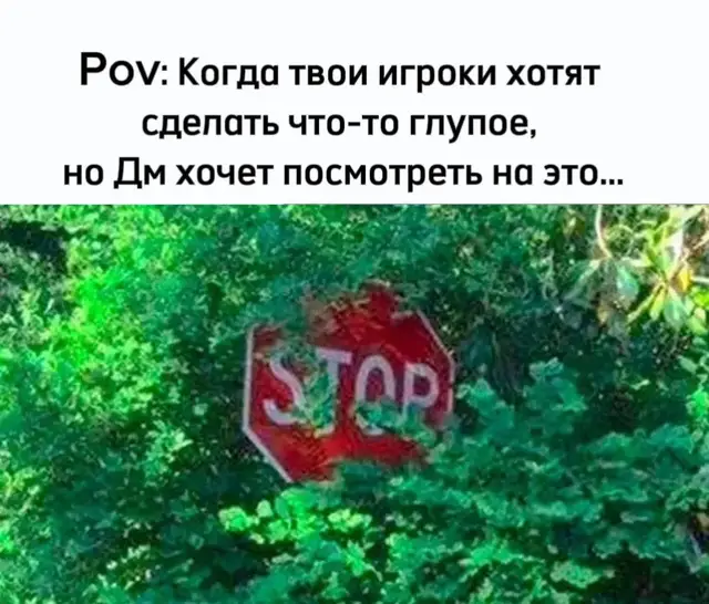 #dndtiktok #dnd #дндтикток #нритикток #нри #днд #дндмем 