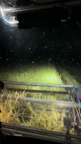 #สังขะสุรินทร์ 