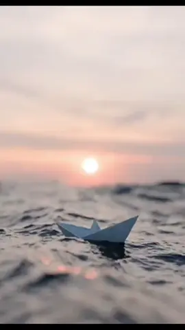 #الجزائر🇩🇿 #fyp 