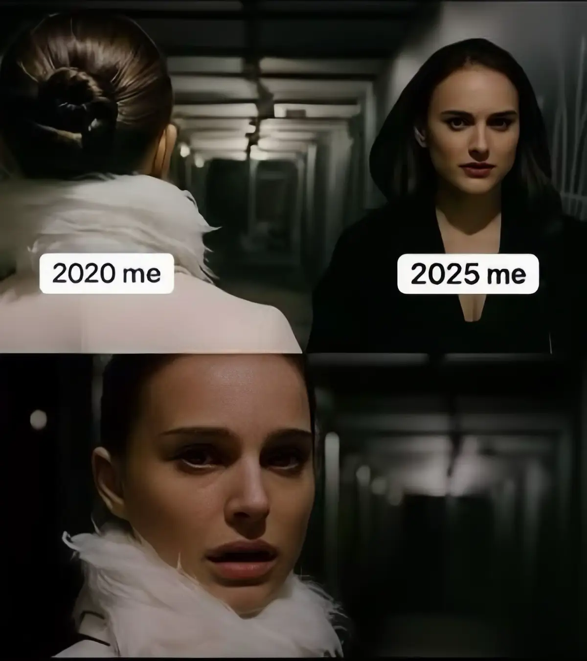 Gừng càng zà càng cayyy