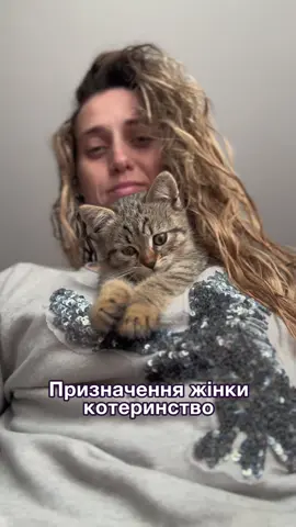 Призначення жінки - котеринство! В тебе ще немає кота, поспіши, бо будеш старокотящою! #cat #кіт 