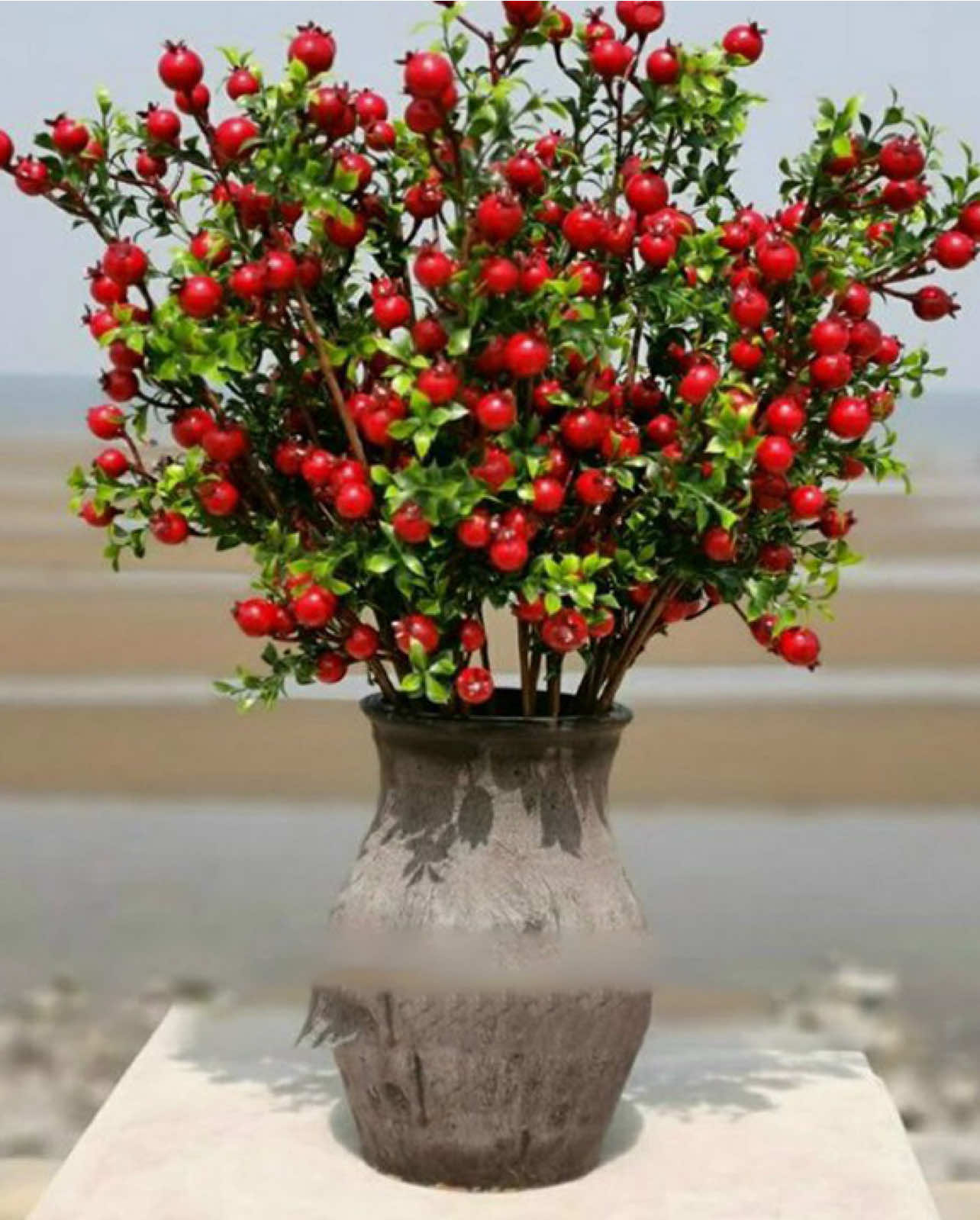 Lựu phú quý tài lộc trưng tết #canhluu #canhluudecortet #tet2026 #qualuu #tetbinhngo 