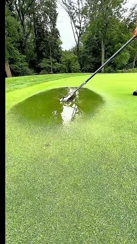 #fyp #fypage #usa🇺🇸 #account #trending 