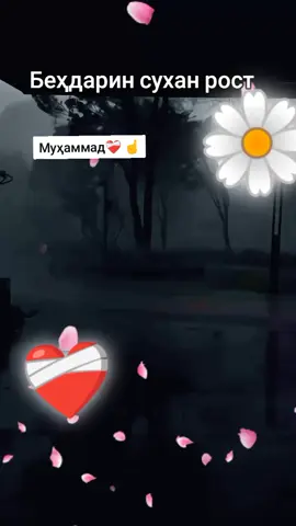 рост Муҳаммад❤️‍🩹 ☝