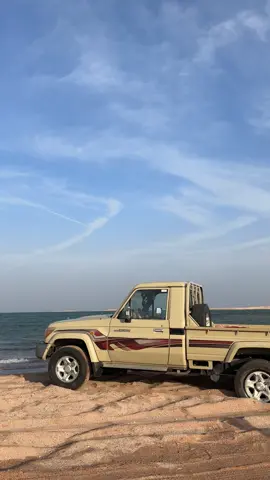 ماشاءالله #شاصات_شاص_تصميم #تبوك_الورد_تبوك_تيماء_ضباء_حقل #نيوم#هشتاق_السعوديه #لليكاتكم_تهمني_وتعليقكم_آهم