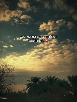 তবে একবার হলেও বলেছিলে ভালোবাসো.!❤️‍🩹 #foryou_ #foryoupage #trending_ #vairal_ #1million_tik_tok 