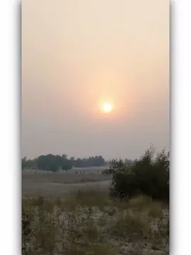 ساہ باقی اپنڑی زندگی دے 💖🥀 Dear tiktok team don't under review my video   #سنگت_ویڈیو_وائرل_کریسو_آپ_ہیں🥀🌼🙈✨🎇#foryouviralvideo #foryoupage #tikpakistan #unfrezzmyaccount @TikTok @TiktokPakistanOfficial 