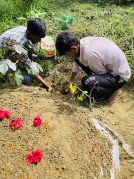 আমি মারা গেলে 😅 আমার কবর এর পাশে একটি বেলিফুল গাছ লাগাবেন মালি সাহেব 🙂 আমার দেহ টা পঁচে সার হয়ে মিশে যাবে ওই গেছে আর প্রতি টি ফুলের গ্রান এ আপনি আমাকে পাবেন 🖤 #fouryou #foryoupage #fou #fy #viralvideo 