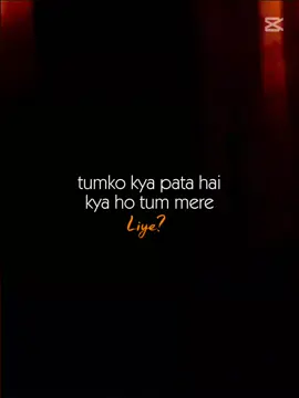 Tumko Kya pta ha Kya Tum mere lia ??. #fyppppppppppppppppppppppp #song #hindisong #tiktok 
