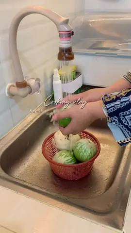 Ada yang sama ngga, baru tau ada terong bulat segede ini 😂 #cooking #masakanrumahan #irtproduktif #masakansimple #fypage 