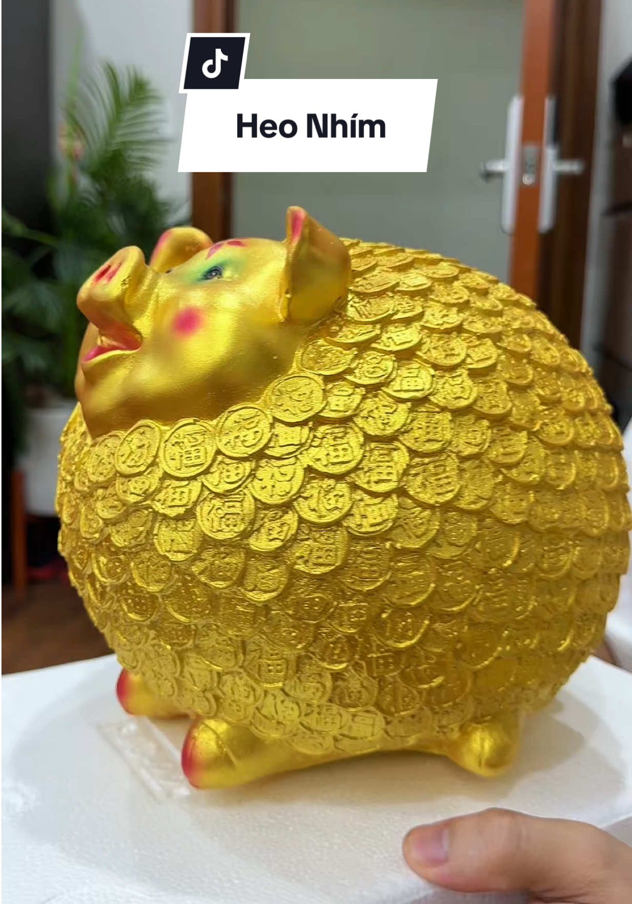 Heo nhím tiết kiệm #haohomhinh #heodattietkiem 