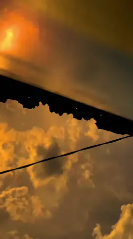 - *من الذي ابتكر فكرة أن شراء الأشياء يتطلب مالًا؟ لماذا لا نستخدم الأوراق فقط؟ إنها لذيذة ويمكنك قطفها بسهولة. يا سلام* - *Sebenarnya siapa sih yang ngasih ide kalo beli apa-apa harus pakek uang, kenapa gak pakek daun aja, kan enak tinggal metik. Yassalam :