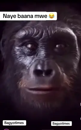 #ugandatiktok🇺🇬 #towakana😂😂😂😂 #foryoupage❤️❤️ #goviraltiktok #bagyo17 #trendingvideo #ugandatiktok #goviralvideo 