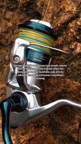 Wang sinawang wong liyo mung penak nyawang 🤭 #gerottfishing #mancing #jogjarocktenor #capuritolure 