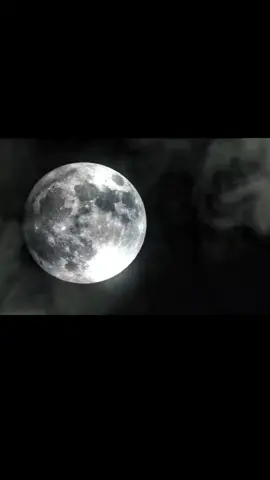 #wahreworte #sprüche #denkmaldrübernach #zumnachdenken  #CapCut 