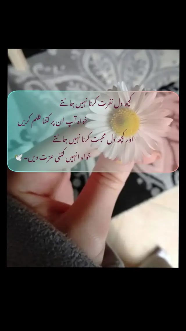 کبھی سوچا ہے، کچھ دل کتنے عجیب ہوتے ہیں؟ وہ نفرت کرنا نہیں جانتے، چاہے آپ ان پر ظلم کے پہاڑ ہی کیوں نہ توڑ دیں۔ وہ چپ رہتے ہیں، دکھ سہتے ہیں، مگر ان کے اندر کی نرمی کبھی مر نہیں پاتی۔ وہ ہر بار زخمی ہو کر بھی دعا دیتے ہیں، ہر بار ٹوٹ کر بھی محبت بانٹتے ہیں۔ ان کے لیے محبت کوئی سودا نہیں، بلکہ فطرت ہے — جو وقت، حالات یا رویوں سے نہیں بدلتی۔ اور پھر کچھ دل ایسے بھی ہوتے ہیں جو محبت کرنا ہی نہیں جانتے۔ آپ انہیں عزت دیں، خلوص دیں، اپنی دنیا ان پر نچھاور کر دیں، مگر وہ پھر بھی سرد رہتے ہیں۔ ان کے لفظ میٹھے ضرور ہوتے ہیں مگر احساس خالی، جیسے بہار کے موسم میں بھی درخت ننگے کھڑے ہوں۔ زندگی کا المیہ یہی ہے کہ کچھ دلوں کے اندر محبت پناہ مانگتی ہے، اور کچھ کے اندر محبت بھٹک کر مر جاتی ہے۔ 🦋🥀❤️‍🩹 ایسے میں اصل عظمت اسی دل کی ہے جو ظلم سہہ کر بھی نرم رہتا ہے، جو ہر تلخی کے باوجود دعا دینا نہیں چھوڑتا، کیونکہ وہ جانتا ہے — محبت کمزوری نہیں، خُدا کی دی ہوئی طاقت ہے۔ ✨ زَری🥀🖤   #foryoupageシforyou #1MillionChallenge #growmyaccount #explorepage✨ #unfrezzmyaccount 