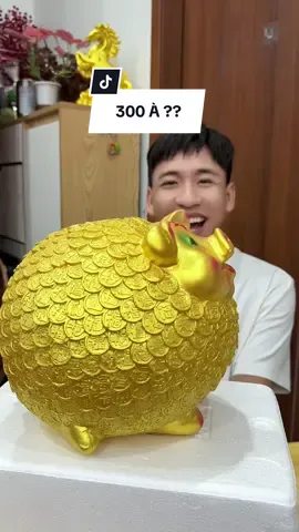300 à ?? #haohomhinh #heodattietkiem 