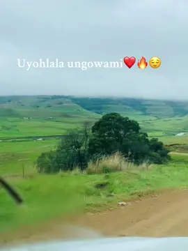 #Amangcukumane #fyp #Bergville 