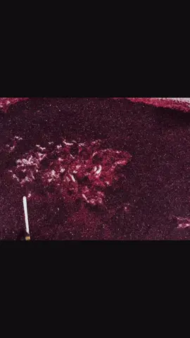 #fybシviral_video_tiktok💯😊😘💞 