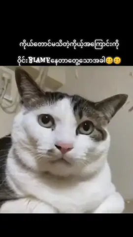 🤪🤪🤪#for #car #ဟာသလေးများ🤣🤣🤣 